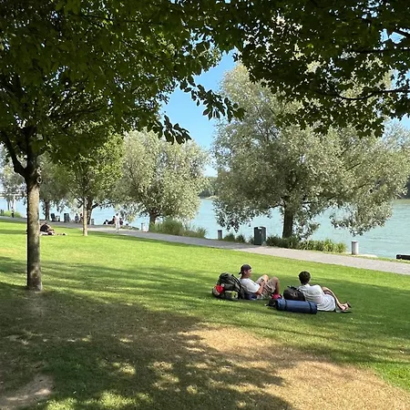 Netradicny V Centre Daire